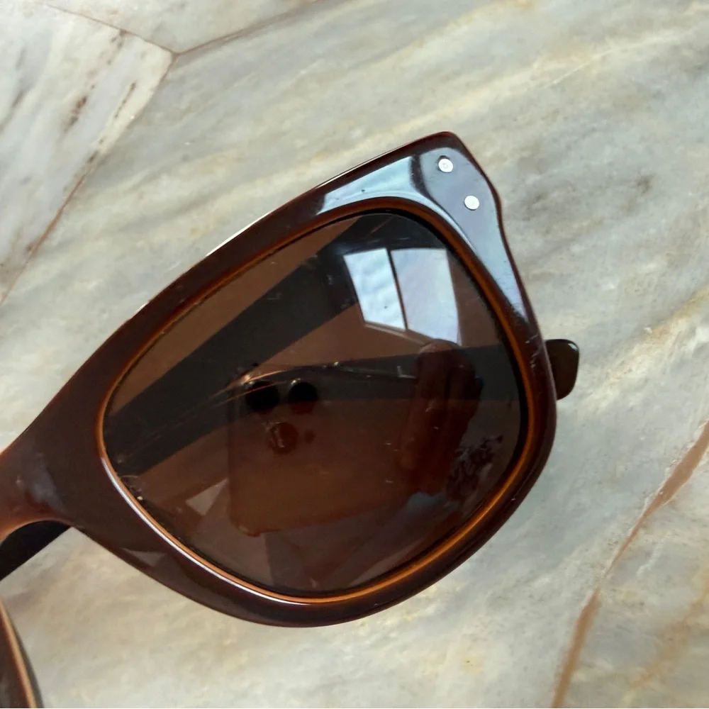 Classic Men's Wayfarer Sunglasses in Dark Brown